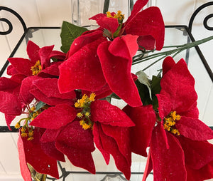 Poinsettia Bunch