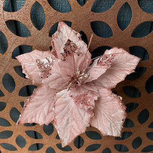 Musk Pink Glitter Poinsettia