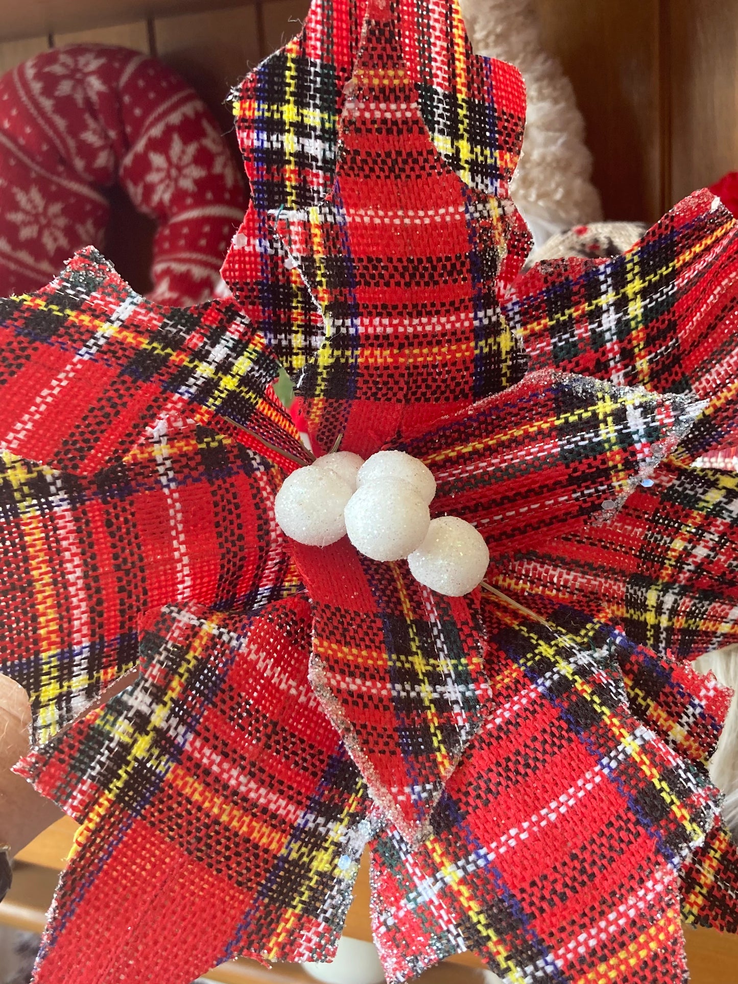Tartan Poinsettia