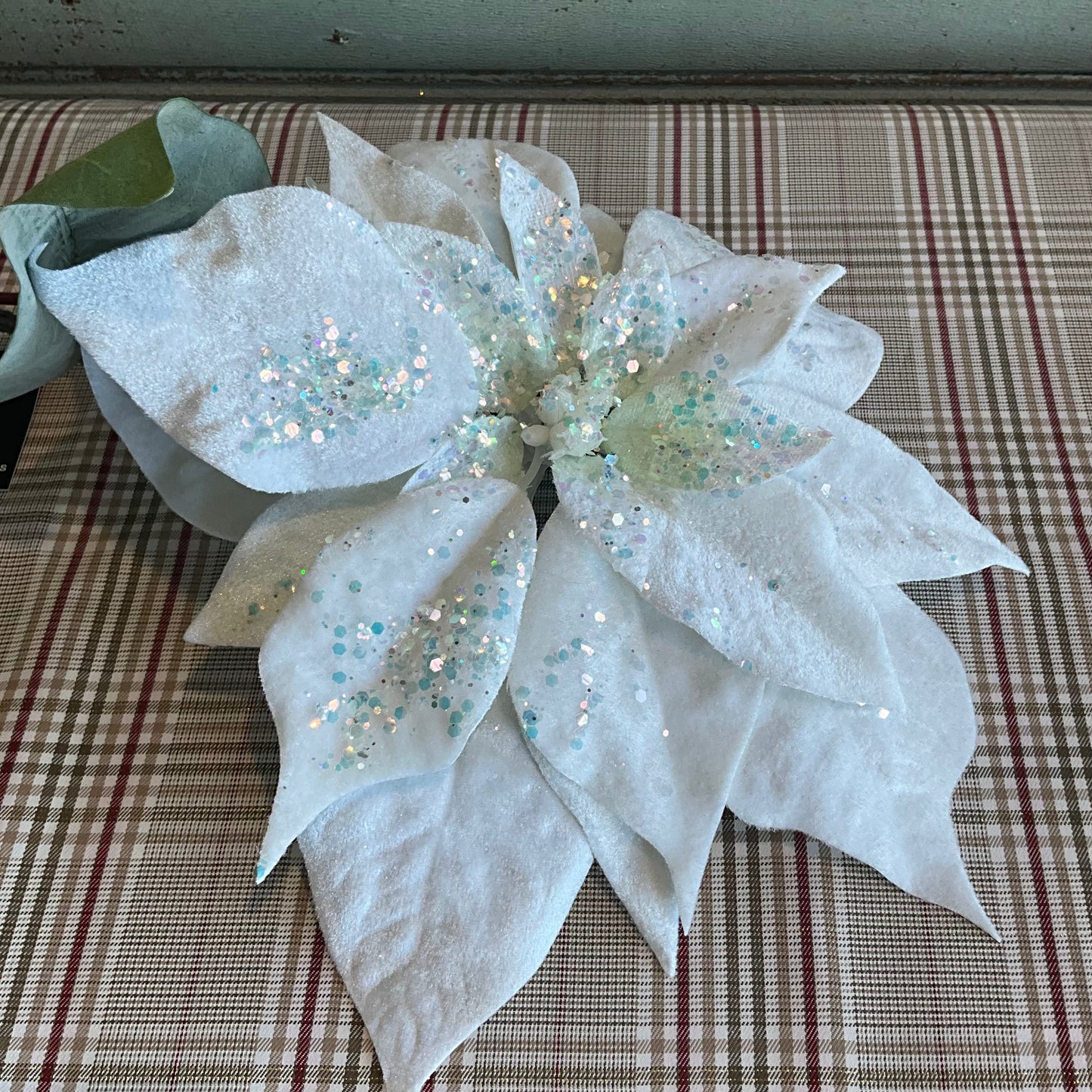 White Velvet Poinsettia