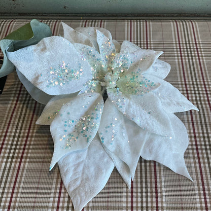 White Velvet Poinsettia