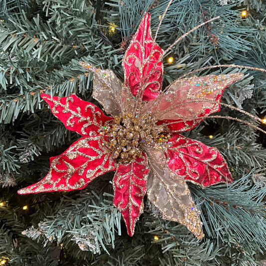 Red Gold Sheer Poinsettia