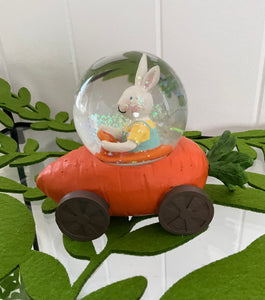 Carrot Car Water Ball