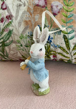 Load image into Gallery viewer, Blue Coat Bunny Deco