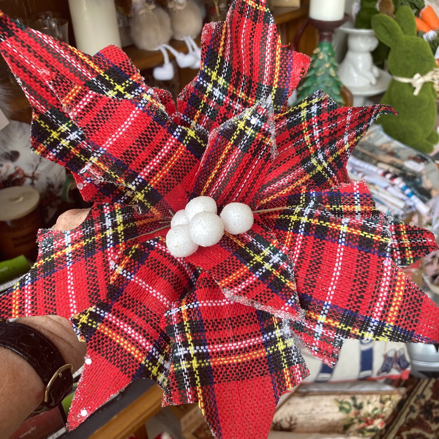 Tartan Poinsettia