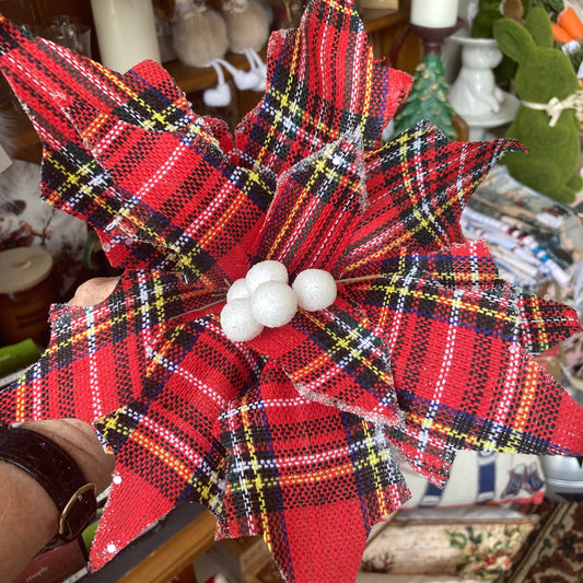 Tartan Poinsettia