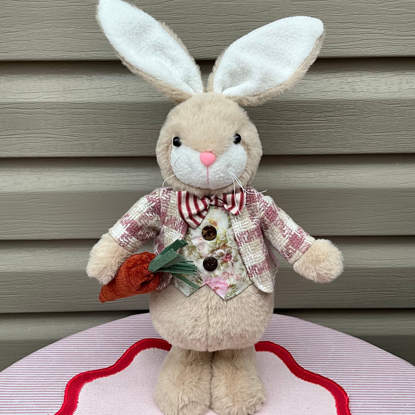 Mr Bunny with Carrot