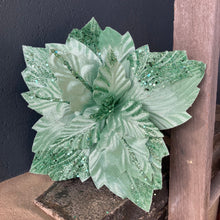 Load image into Gallery viewer, Mint Velvet Poinsettia