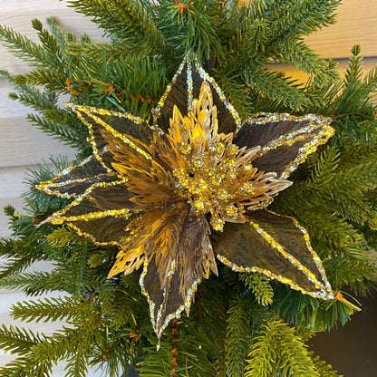 Metallic Gold Black Poinsettia