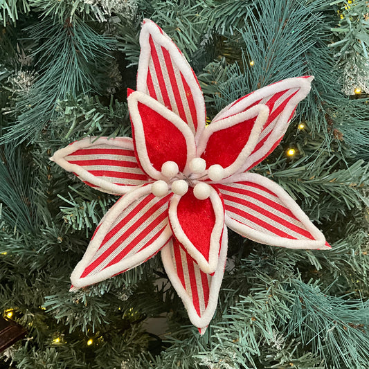 Candy Cane Poinsettia