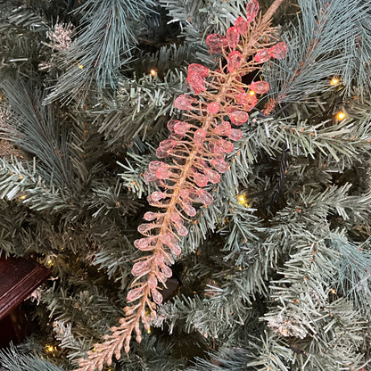 Pink Crystal Foxtail