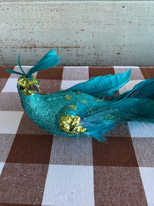 Real Feathered Peacock