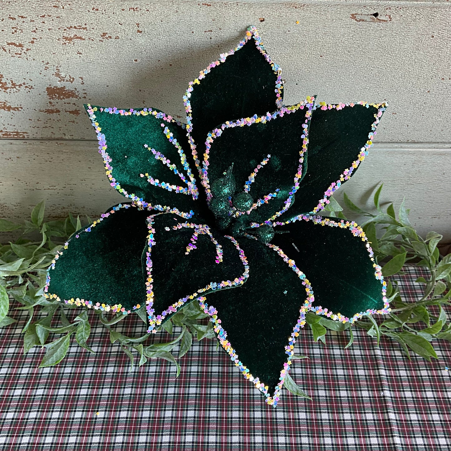 Dark Green Starry Poinsettia