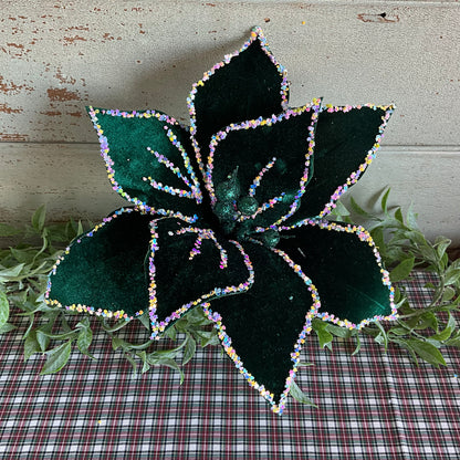 Dark Green Starry Poinsettia