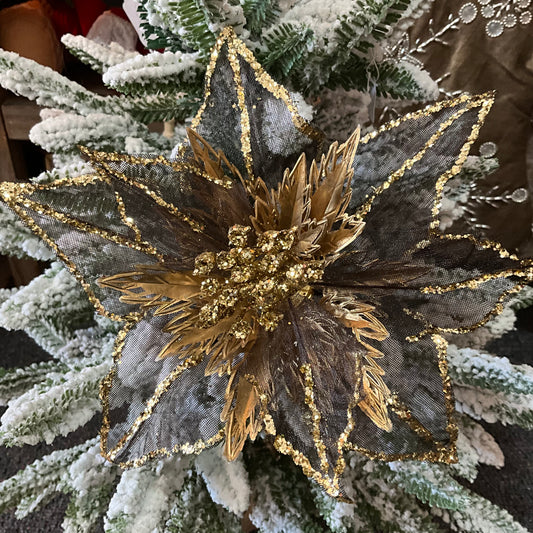 Metallic Gold Black Poinsettia