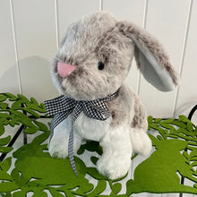 Load image into Gallery viewer, Soft Plush Bunny