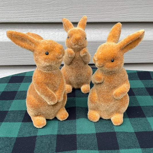 Three Brown Bunnies
