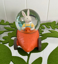 Load image into Gallery viewer, Carrot Car Water Ball