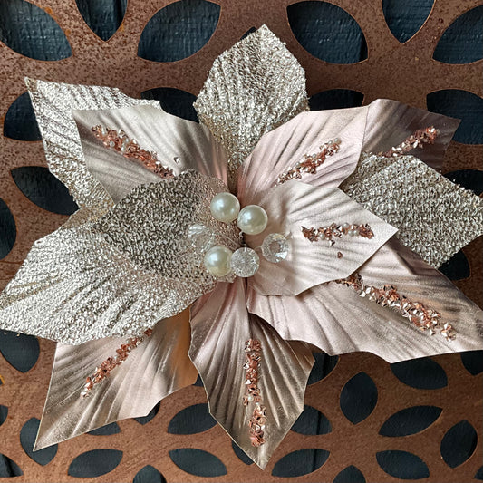 Pink Champagne Poinsettia