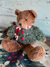 Load image into Gallery viewer, Green Jumper Teddy