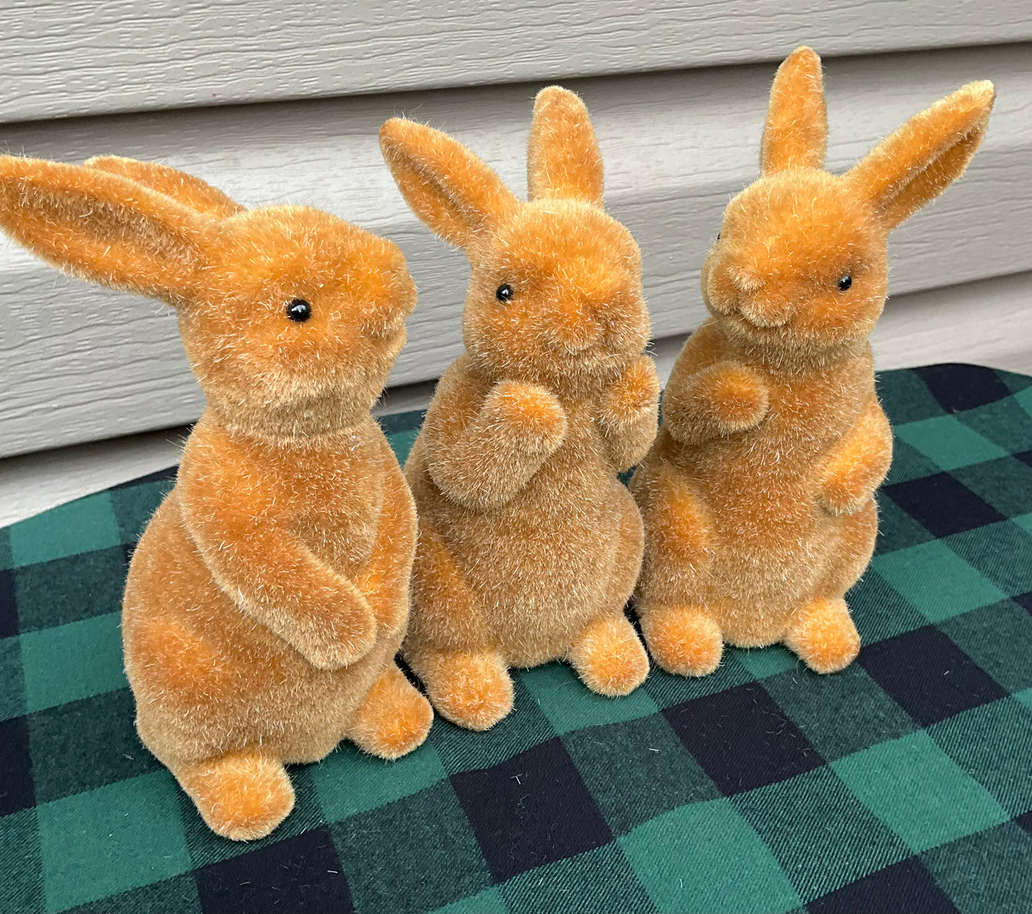 Three Brown Bunnies
