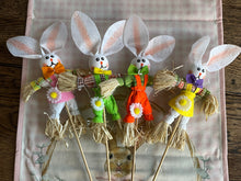 Load image into Gallery viewer, Set Scarecrow Bunny Picks