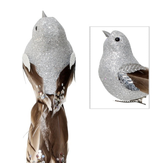 Silver Brown Bird