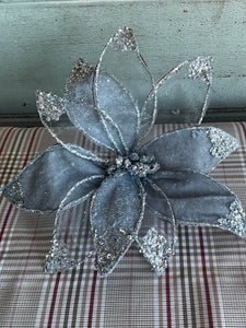 Silver Velvet Poinsettia