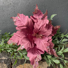 Load image into Gallery viewer, Raspberry Pink Poinsettia