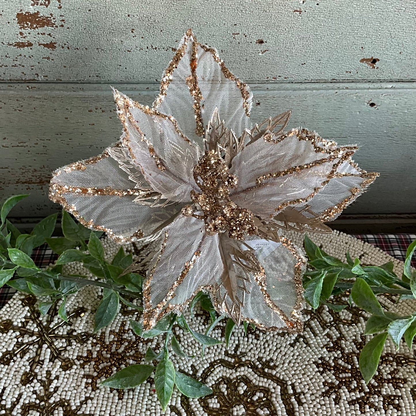 Sheer Gold Poinsettia