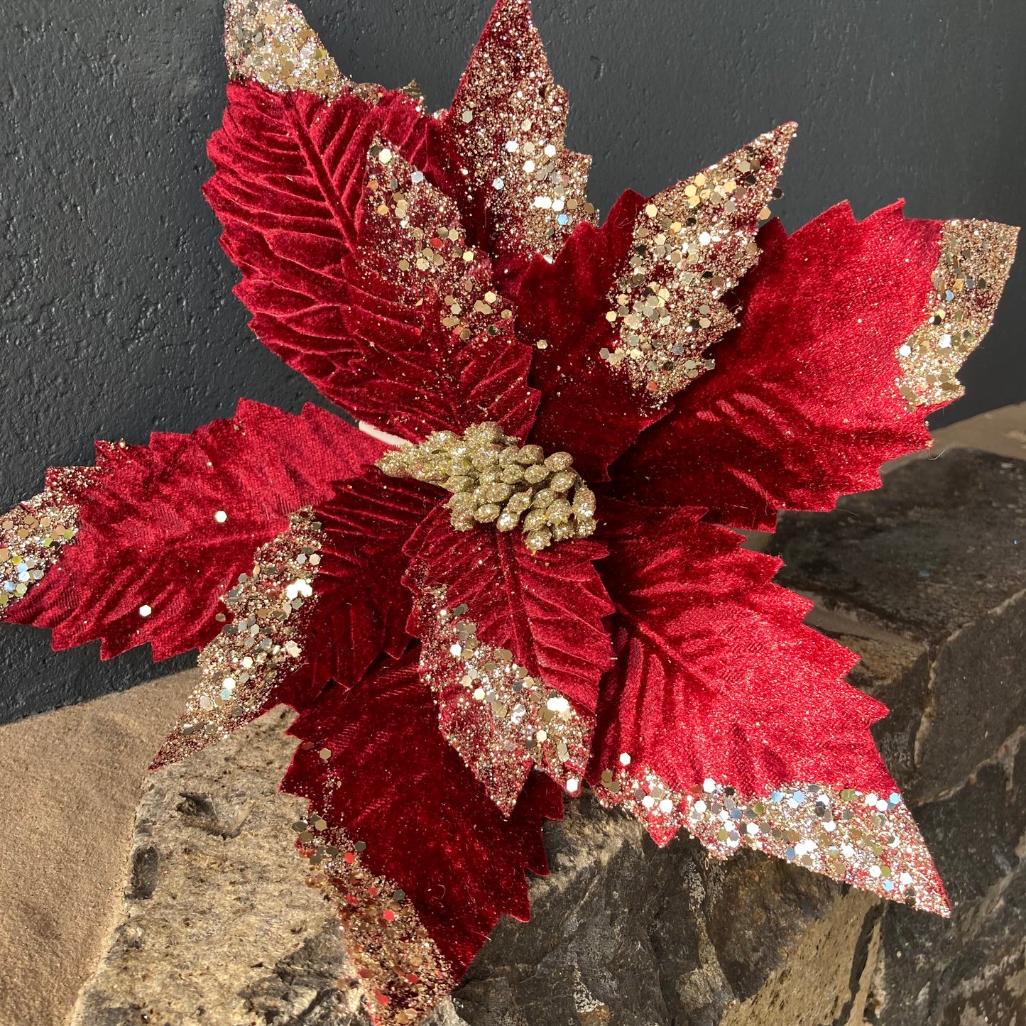 Burgundy Poinsettia