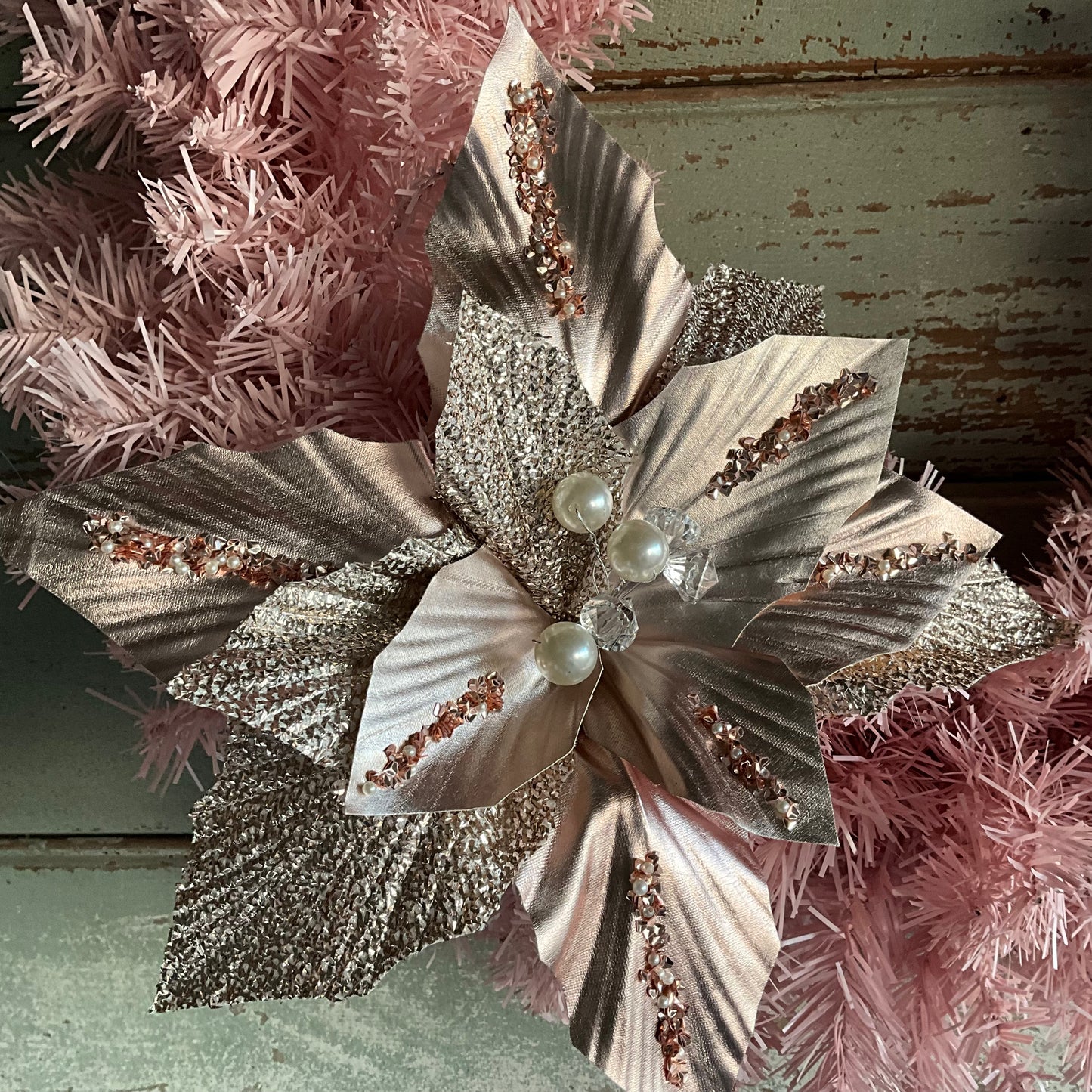 Pale Pink Poinsettia