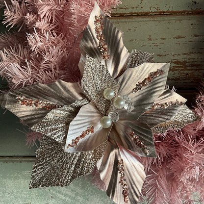 Pale Pink Poinsettia
