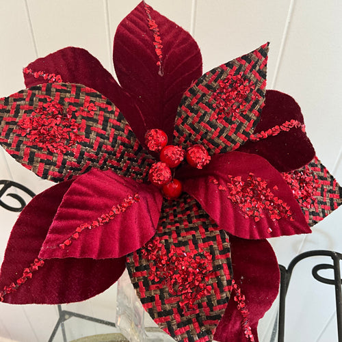 Burgundy Tartan Poinsettia