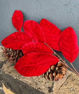 Red Velvet Leaf Spray