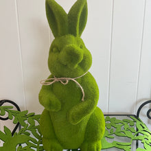 Load image into Gallery viewer, Large Flocked Moss Bunny