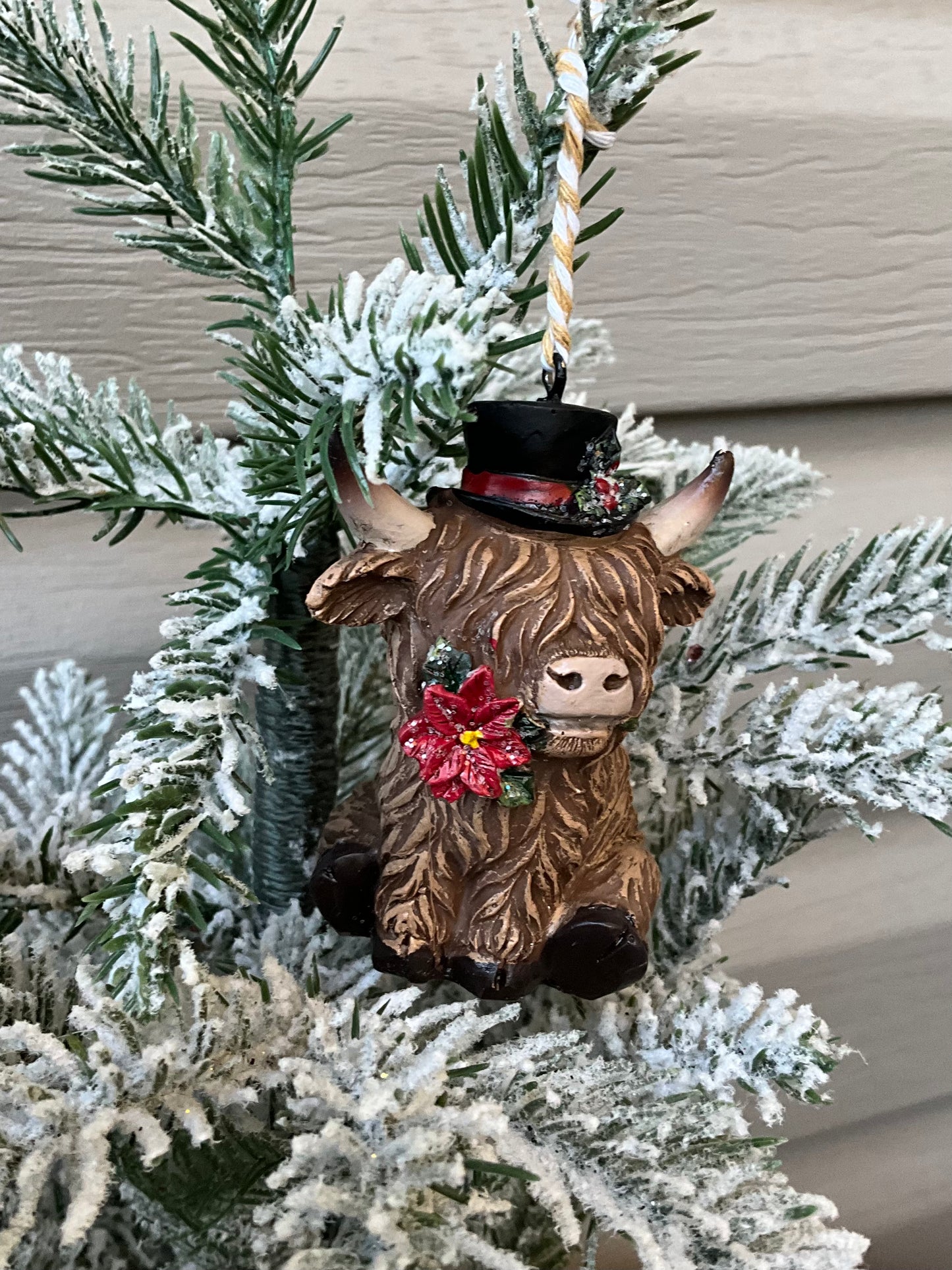 Highland Cattle with Top Hat