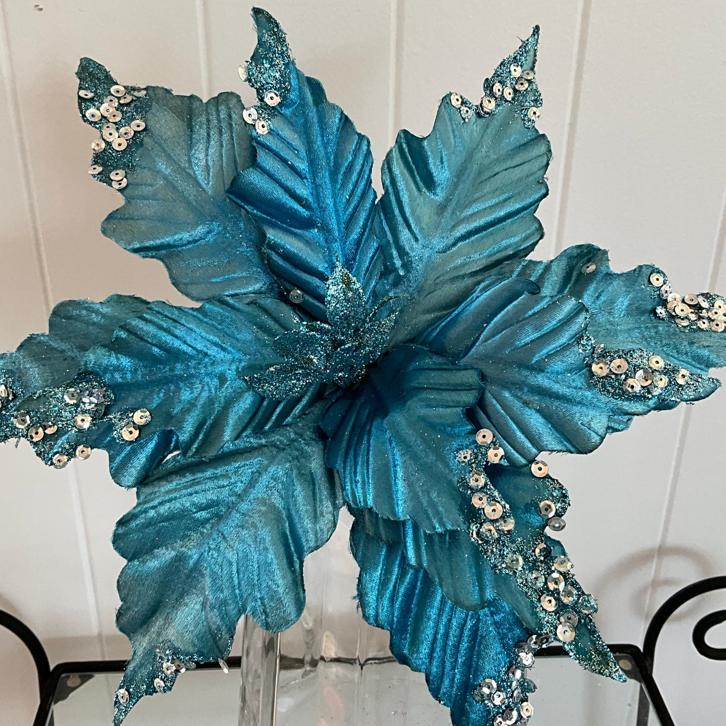 Turquoise Blue Poinsettia