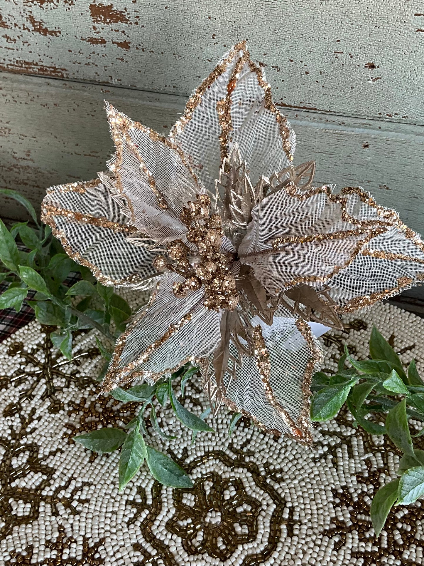 Sheer Gold Poinsettia