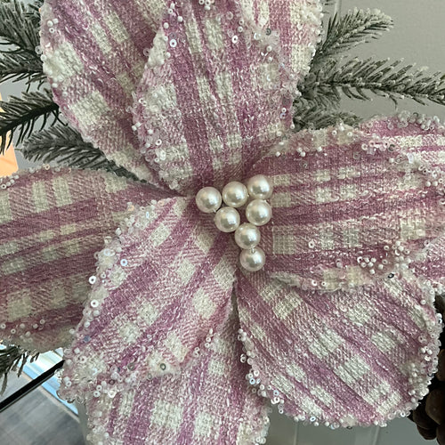 Mauve Poinsettia