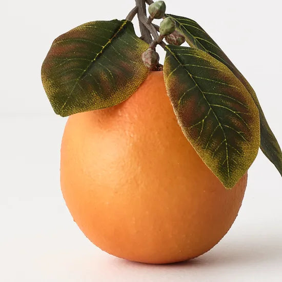Orange Fruit Decoration