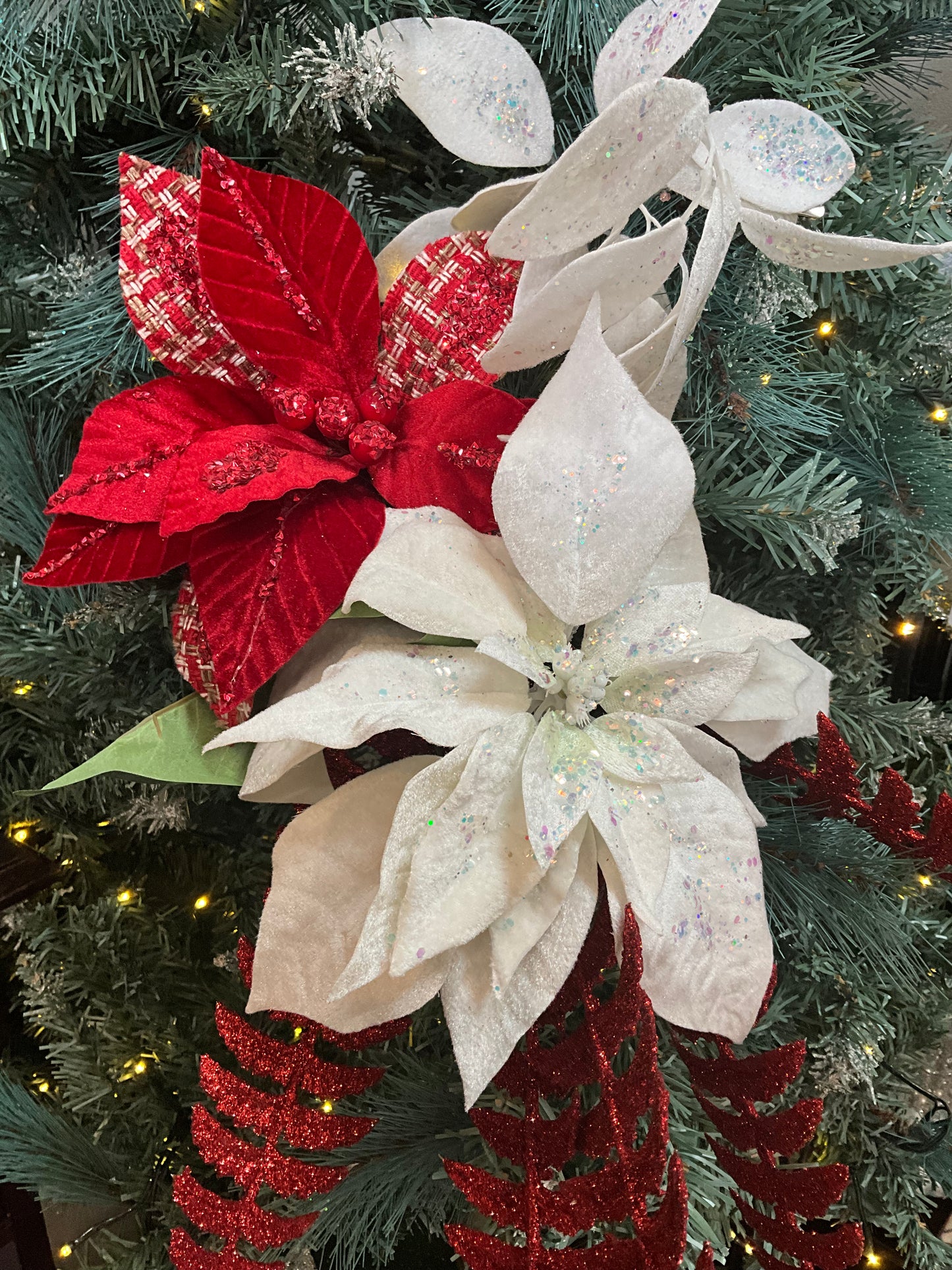 Red Tartan Poinsettia
