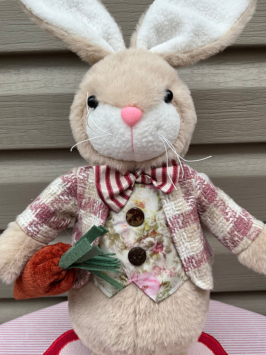 Mr Bunny with Carrot