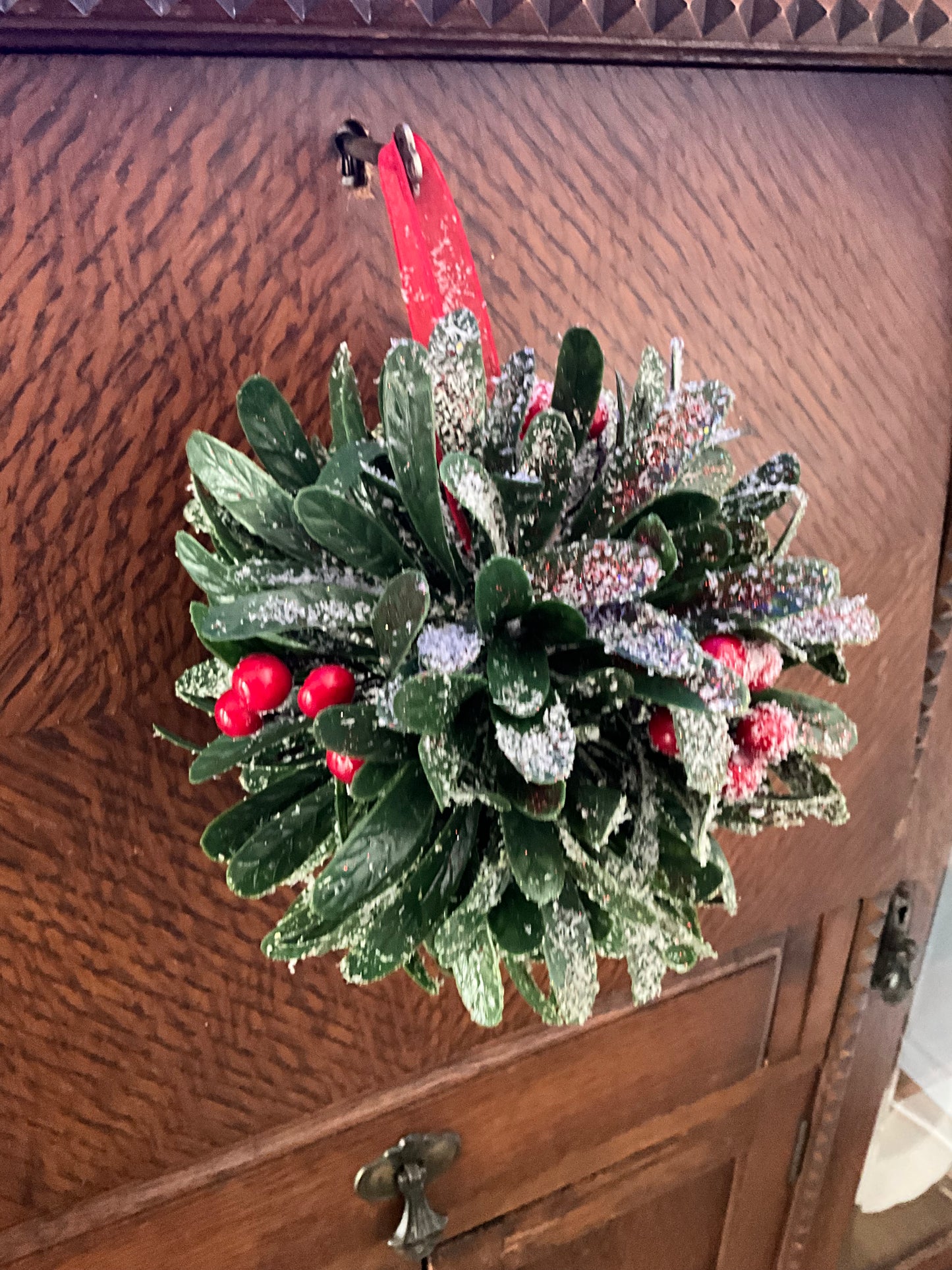 Hanging Frosted Ball