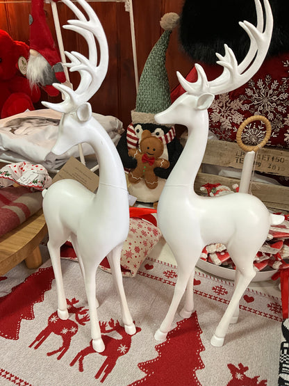 Two White Deer