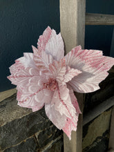 Load image into Gallery viewer, Soft Pink Poinsettia