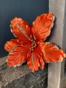 Orange Poinsettia