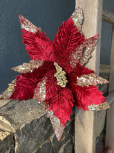 Load image into Gallery viewer, Burgundy Champagne Poinsettia