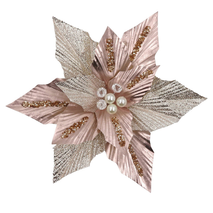 Soft Pink Champagne Poinsettia