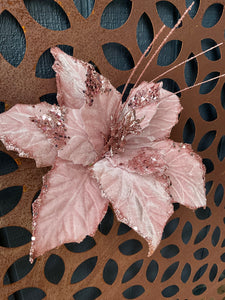 Musk Pink Glitter Poinsettia